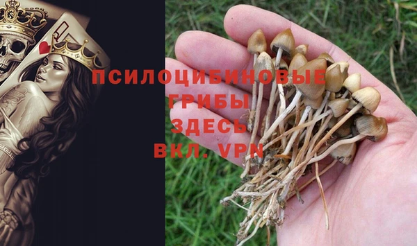 кокаин Бородино