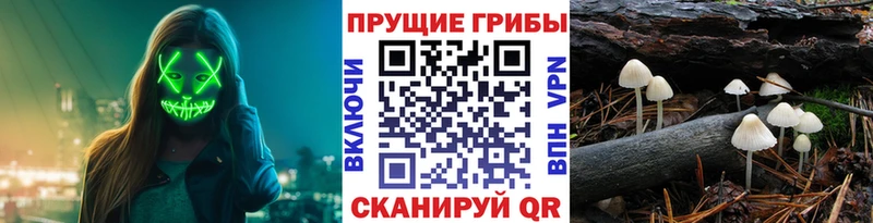 Псилоцибиновые грибы MAGIC MUSHROOMS  Духовщина 